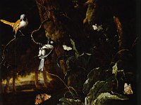 GG 382  GG 382, Abraham Jansz. Begheyn (1637/38-1697), Waldstück mit Schmetterlingen und Vögeln, Leinwand, 62,4 x 54,8 cm : Tiere